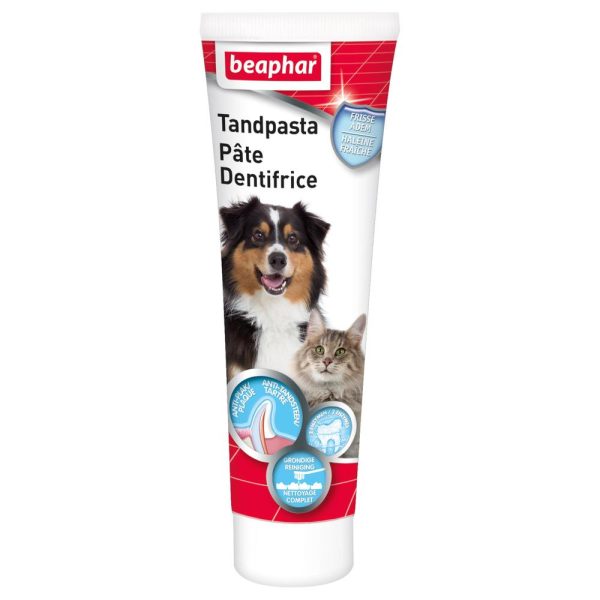 tandpasta hond