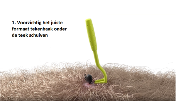 Hunter tekenhaak 4 kleuren 3 kopie 1