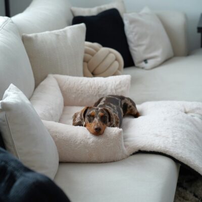 hondendeken bank wit