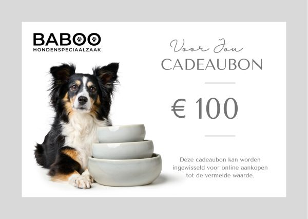 Cadeabon BABOO 100 euro 1