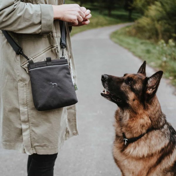 Beloningstas Hond Antraciet - Afbeelding 5