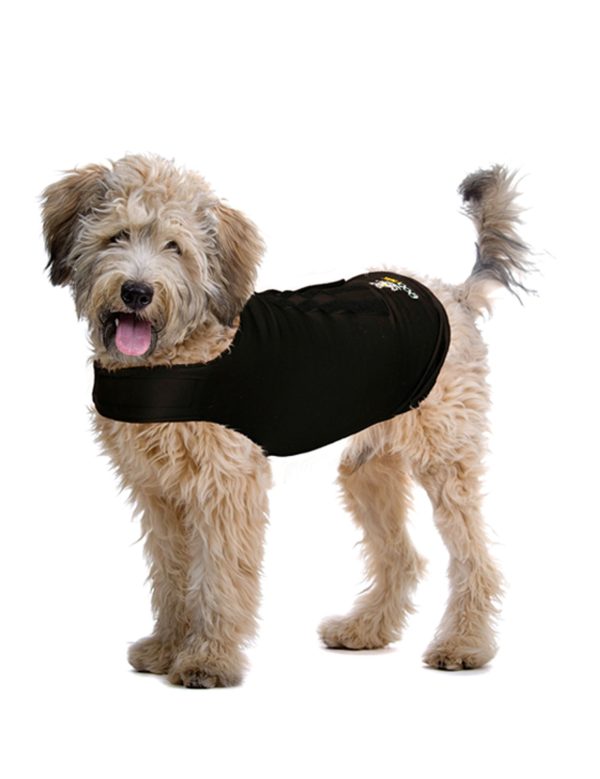 ZenDog Compressie Shirt - Afbeelding 2