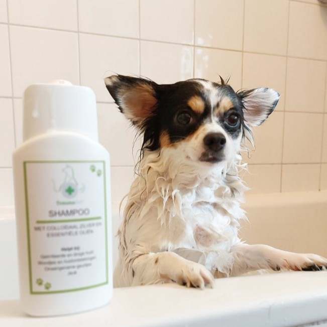 TraumaPet Review Shampoo met colloidaal zilver kopie