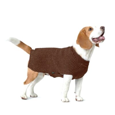 hondentrui bruin