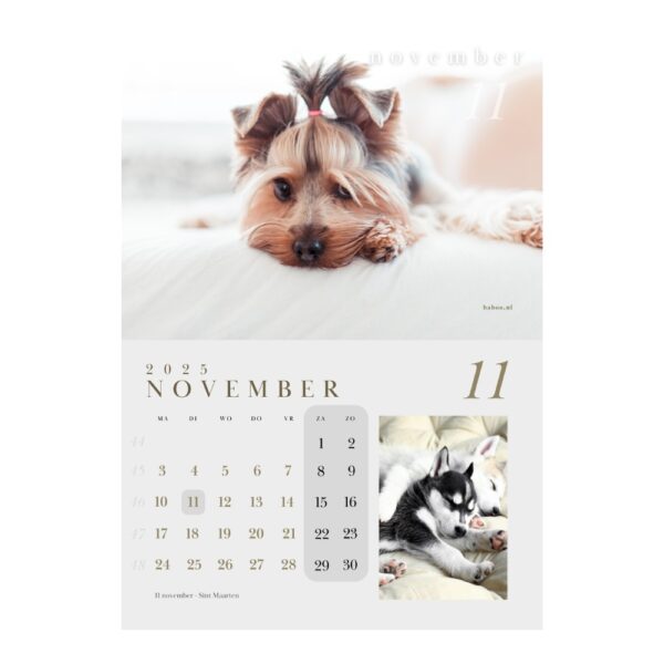 Kalender 2025 | Puppykalender 2025 - Afbeelding 7