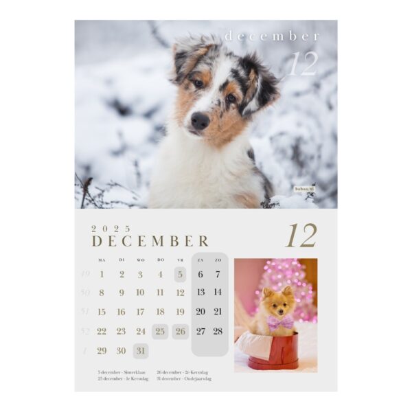 Kalender 2025 | Puppykalender 2025 - Afbeelding 8