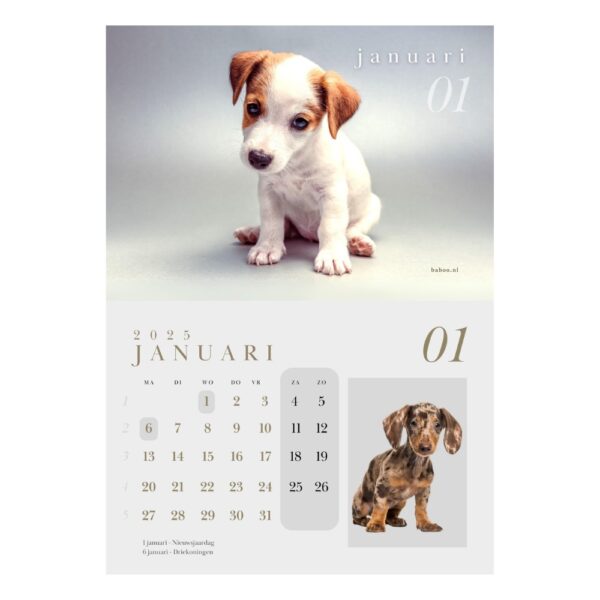 Kalender 2025 | Puppykalender 2025 - Afbeelding 2