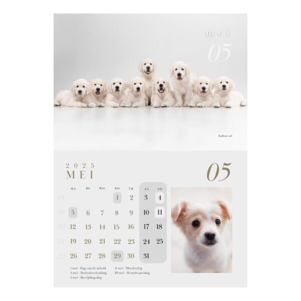 Kalender 2025 | Puppykalender 2025 - Afbeelding 4