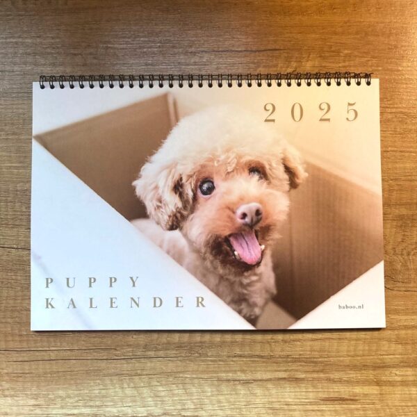 Kalender 2025 -Puppykalender