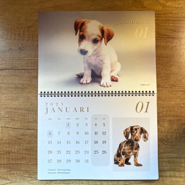 Kalender 2025 | Puppykalender 2025 - Afbeelding 11