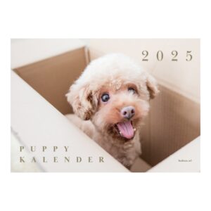 kalender 2025 | maandkalender | jaarkalender 2025 | cadeau voor vrouw | kerstcadeau | sinterklaas | wandkalender | honden kalender | puppy kalender