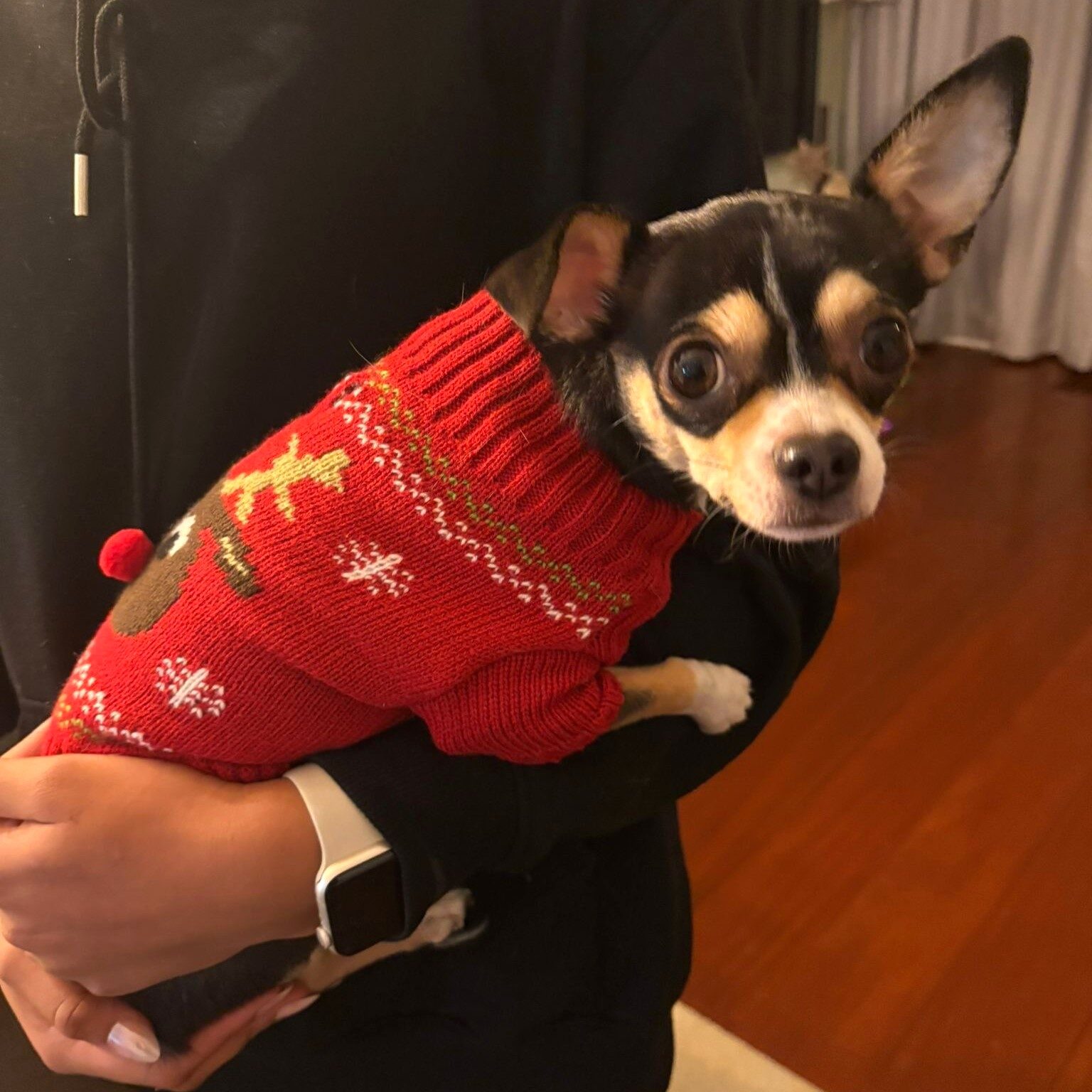 Kersttrui Hond Eland 6 kersttrui hond