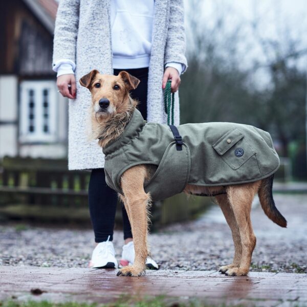 Hondenjas Hunter Khaki - Afbeelding 9