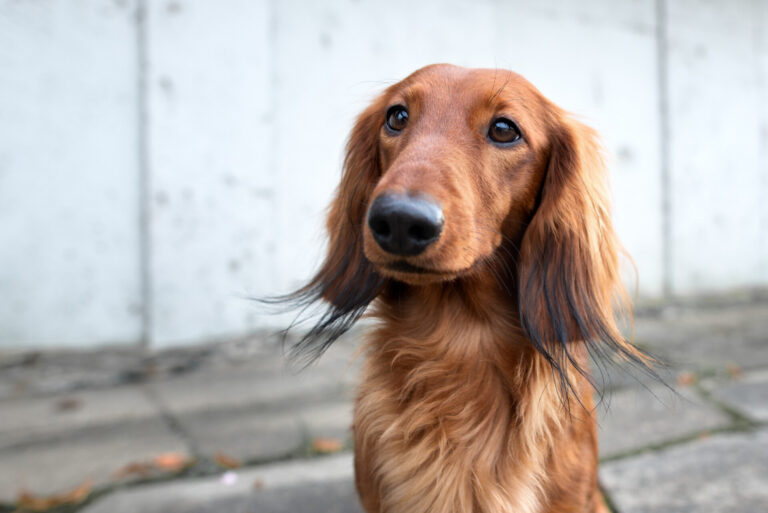 AdobeStock 305944945