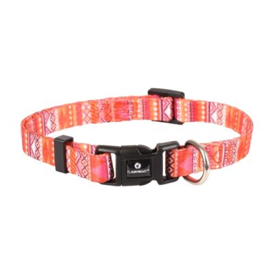 puppy halsband