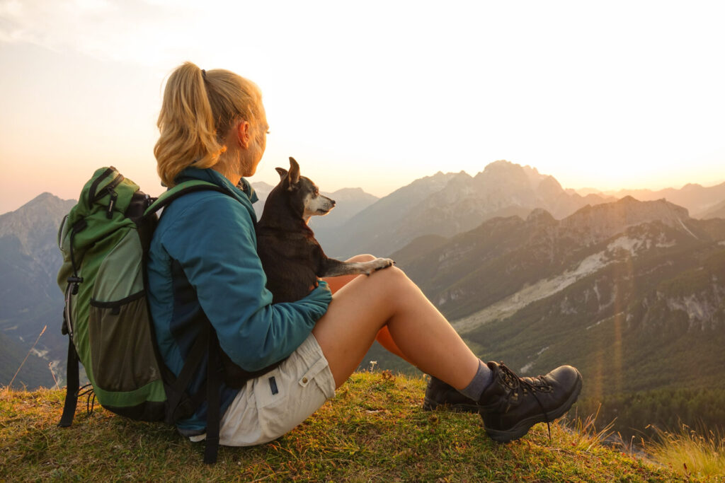 Met hond op vakantie | Handige tips voor op reis in 2025 4 met hond op vakantie