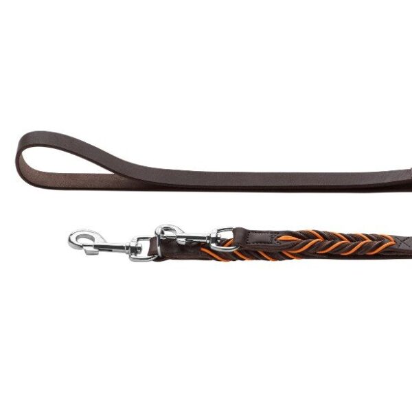 Luxe Leren Hondenriem Solid Education - Afbeelding 5
