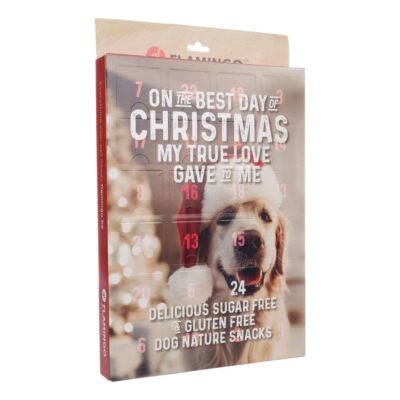 adventskalender hond