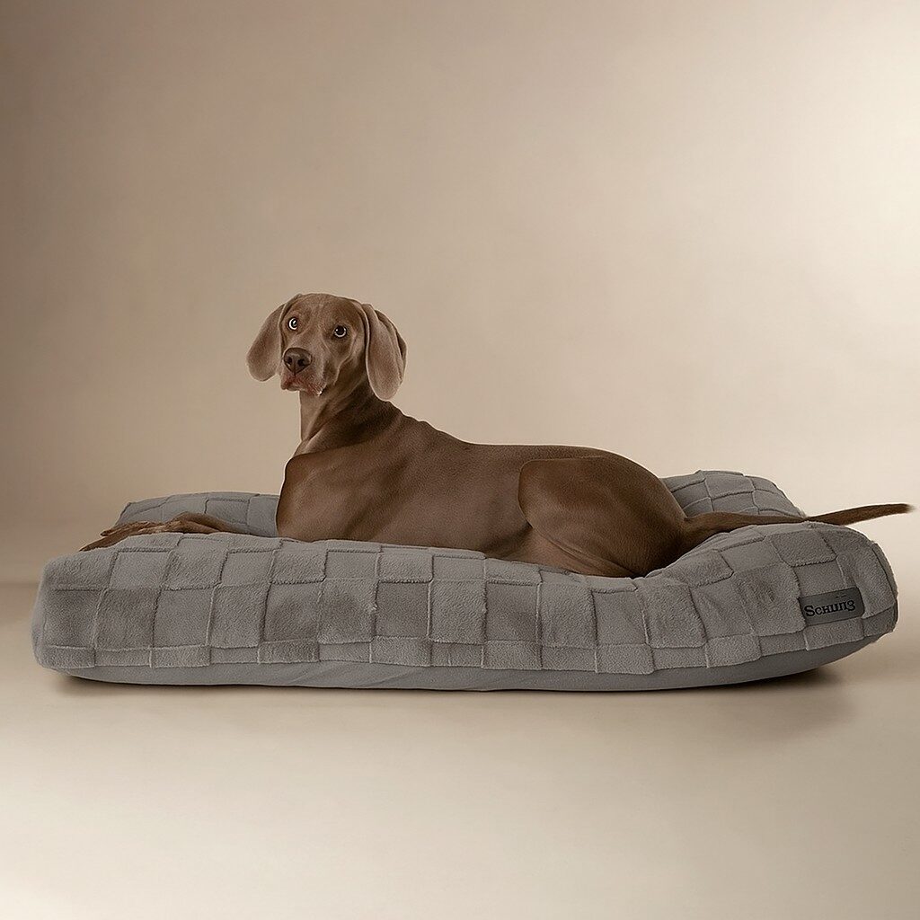 Orthopedisch Hondenkussen Grijs 4 Orthopedisch Hondenkussen Grijs - Afbeelding 4