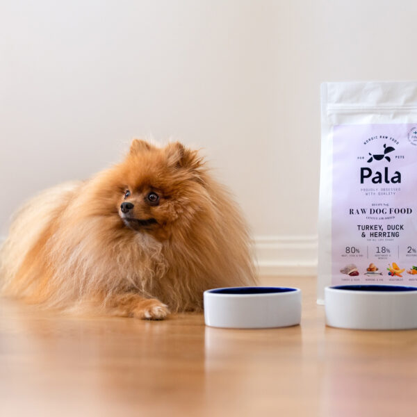 Pala - Gedroogd Vlees - Kalkoen, Eend & Haring