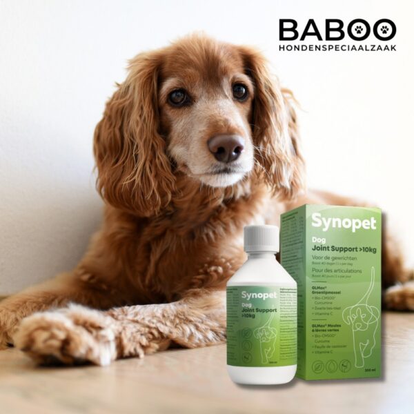 Groenlipmossel Hond Vloeibaar