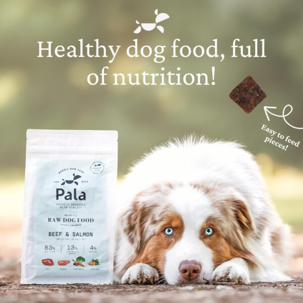 Pala - Gedroogd Vlees - Rund & Zalm