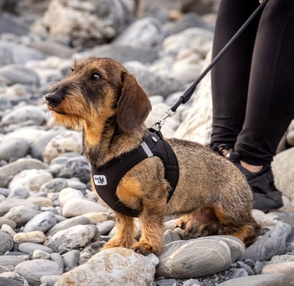 Curli Tuigje Air-Mesh Zwart