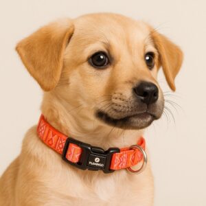 Puppy Halsband Zalmroze