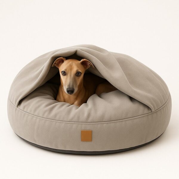 Hondencave Liam Noche