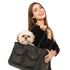 Stijlvolle Hondentas Grijs