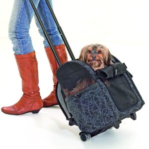 Hondenrugzak & Hondentrolley