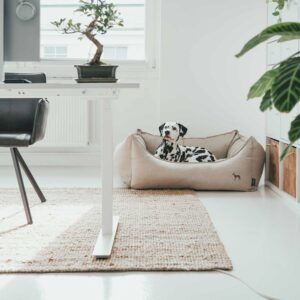 Hondenmand Livingston Beige