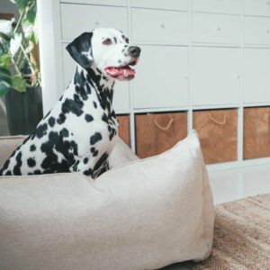 Hondenmand Livingston Beige