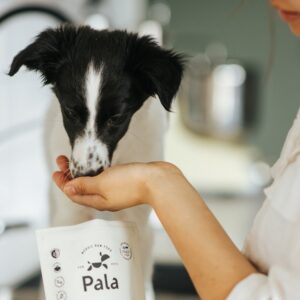 Pala - Gedroogd Vlees - Lam & Haring