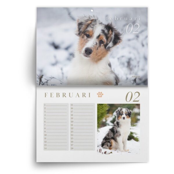 Verjaardagskalender Australian Shepherd