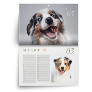 Verjaardagskalender Australian Shepherd