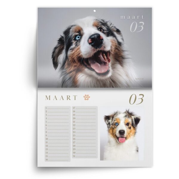 Verjaardagskalender Australian Shepherd