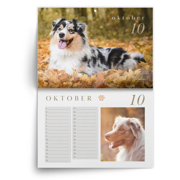 Verjaardagskalender Australian Shepherd