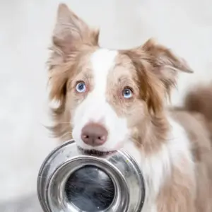 AdobeStock 408462652 kopie 1024x1024 1 1