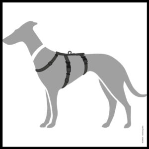 Anti-ontsnappingstuig Zwart