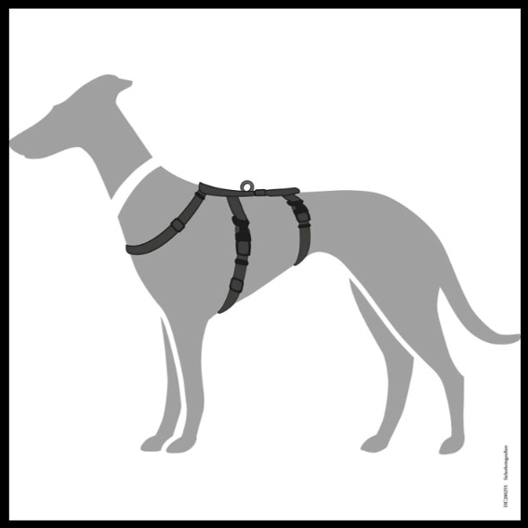 Anti-ontsnappingstuig Zwart