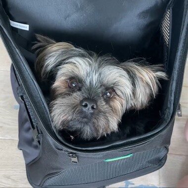Hondenrugzak & Vliegtas
