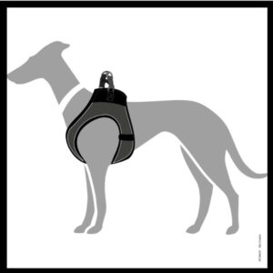 Hondentuig Hilo Antraciet