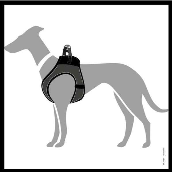 Hondentuig Hilo Antraciet