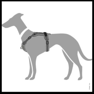 Hondentuig Divo Grijs