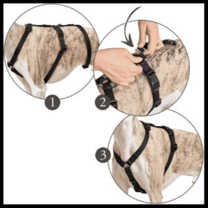 Anti-ontsnappingstuig Rood