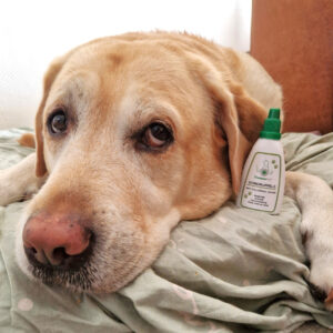 TraumaPet Oordruppels (50 ML)