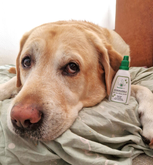 TraumaPet Oordruppels (50 ML)