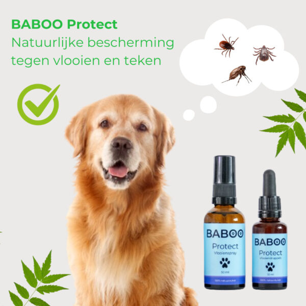 Natuurlijke Vlooienspray Hond - 100% Gifvrij - BABOO Protect