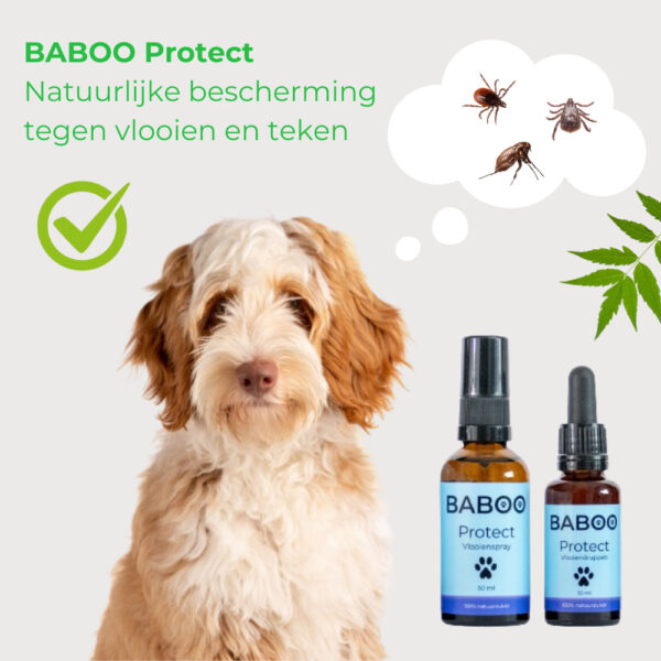 Natuurlijke Vlooienspray Hond - 100% Gifvrij - BABOO Protect